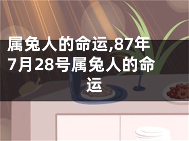 属兔人的命运,87年7月28号属兔人的命运