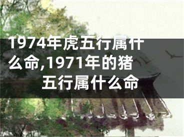 1974年虎五行属什么命,1971年的猪五行属什么命
