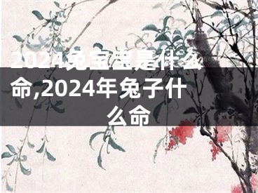 2024兔宝宝是什么命,2024年兔子什么命