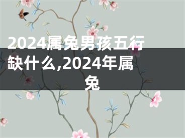 2024属兔男孩五行缺什么,2024年属兔