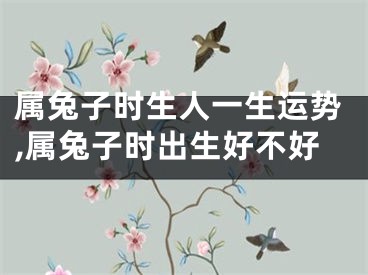 属兔子时生人一生运势,属兔子时出生好不好