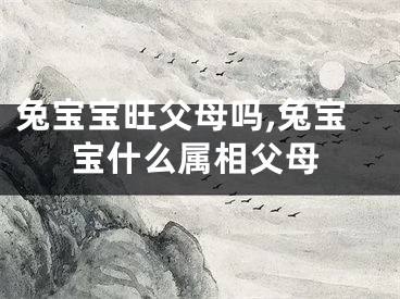 兔宝宝旺父母吗,兔宝宝什么属相父母