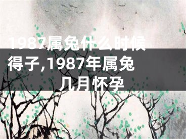 1987属兔什么时候得子,1987年属兔几月怀孕