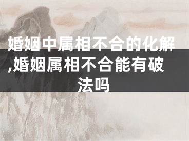 婚姻中属相不合的化解,婚姻属相不合能有破法吗