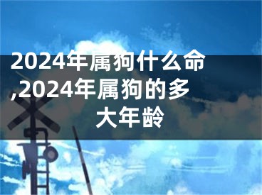 2024年属狗什么命,2024年属狗的多大年龄