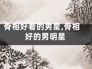 骨相好看的男星,骨相好的男明星