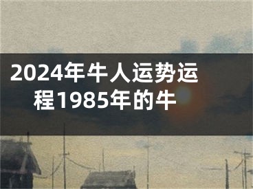 2024年牛人运势运程1985年的牛