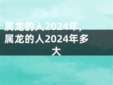 属龙的人2024年,属龙的人2024年多大