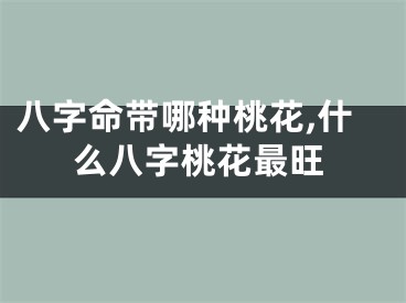 八字命带哪种桃花,什么八字桃花最旺