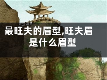 最旺夫的眉型,旺夫眉是什么眉型