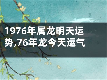1976年属龙明天运势,76年龙今天运气