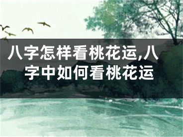 八字怎样看桃花运,八字中如何看桃花运