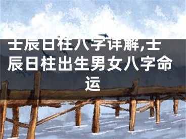 壬辰日柱八字详解,壬辰日柱出生男女八字命运