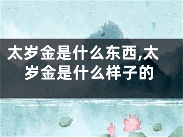 太岁金是什么东西,太岁金是什么样子的