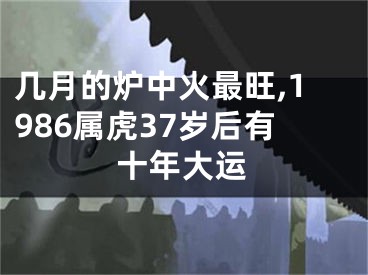 几月的炉中火最旺,1986属虎37岁后有十年大运