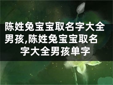 陈姓兔宝宝取名字大全男孩,陈姓兔宝宝取名字大全男孩单字