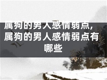 属狗的男人感情弱点,属狗的男人感情弱点有哪些