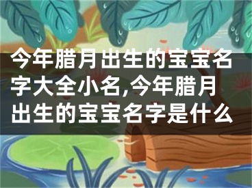 今年腊月出生的宝宝名字大全小名,今年腊月出生的宝宝名字是什么