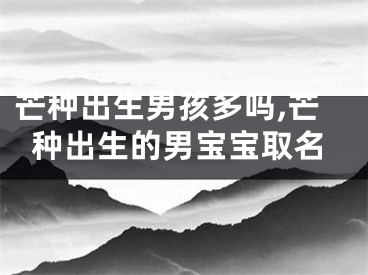 芒种出生男孩多吗,芒种出生的男宝宝取名