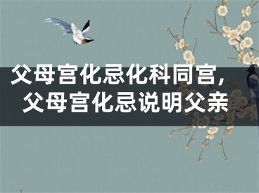父母宫化忌化科同宫,父母宫化忌说明父亲