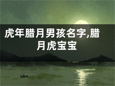 虎年腊月男孩名字,腊月虎宝宝