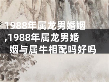 1988年属龙男婚姻,1988年属龙男婚姻与属牛相配吗好吗