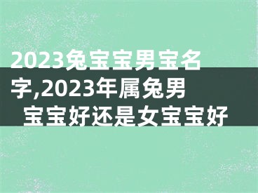 2023兔宝宝男宝名字,2023年属兔男宝宝好还是女宝宝好