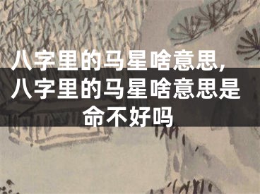 八字里的马星啥意思,八字里的马星啥意思是命不好吗