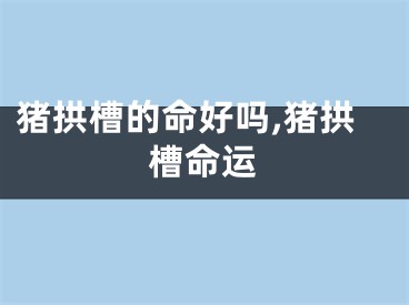 猪拱槽的命好吗,猪拱槽命运