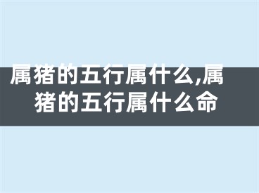 属猪的五行属什么,属猪的五行属什么命