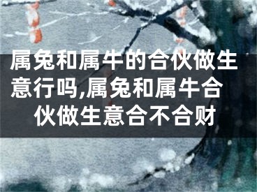 属兔和属牛的合伙做生意行吗,属兔和属牛合伙做生意合不合财