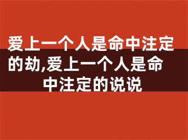 爱上一个人是命中注定的劫,爱上一个人是命中注定的说说