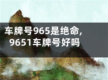 车牌号965是绝命,9651车牌号好吗