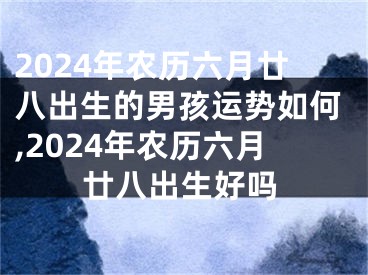 2024年农历六月廿八出生的男孩运势如何,2024年农历六月廿八出生好吗