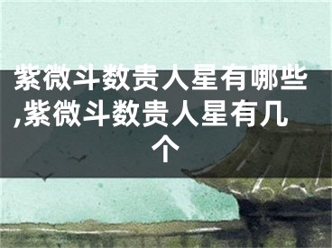 紫微斗数贵人星有哪些,紫微斗数贵人星有几个