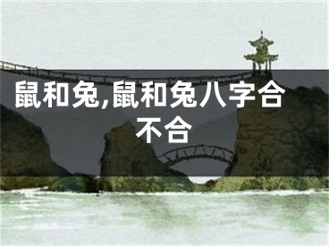 鼠和兔,鼠和兔八字合不合