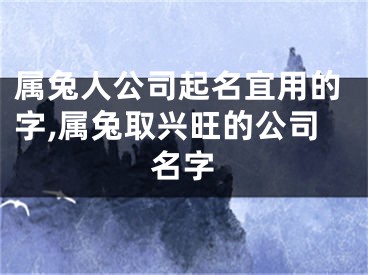 属兔人公司起名宜用的字,属兔取兴旺的公司名字