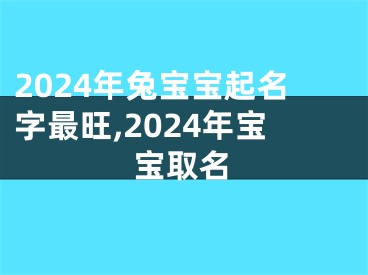 2024年兔宝宝起名字最旺,2024年宝宝取名