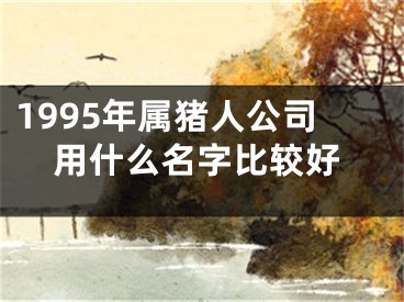1995年属猪人公司用什么名字比较好