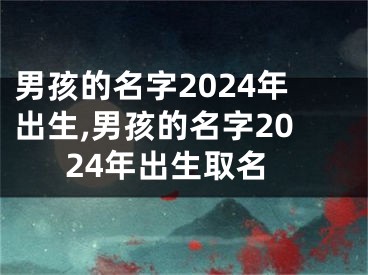 男孩的名字2024年出生,男孩的名字2024年出生取名