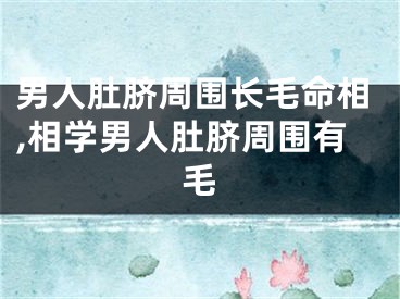 男人肚脐周围长毛命相,相学男人肚脐周围有毛