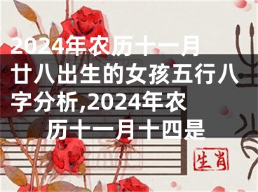 2024年农历十一月廿八出生的女孩五行八字分析,2024年农历十一月十四是