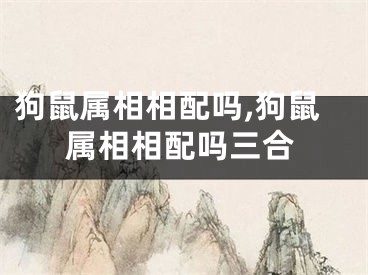 狗鼠属相相配吗,狗鼠属相相配吗三合