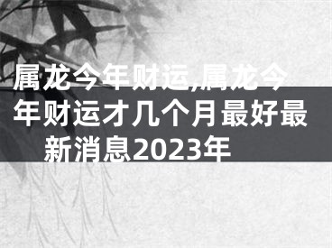 属龙今年财运,属龙今年财运才几个月最好最新消息2023年