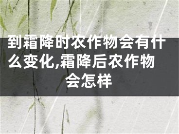 到霜降时农作物会有什么变化,霜降后农作物会怎样
