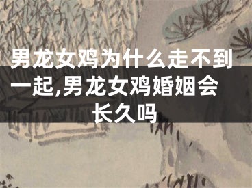 男龙女鸡为什么走不到一起,男龙女鸡婚姻会长久吗