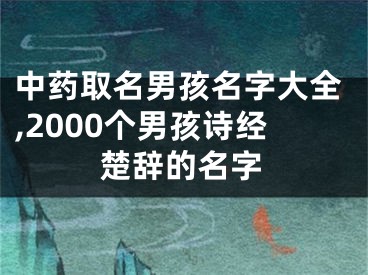 中药取名男孩名字大全,2000个男孩诗经楚辞的名字