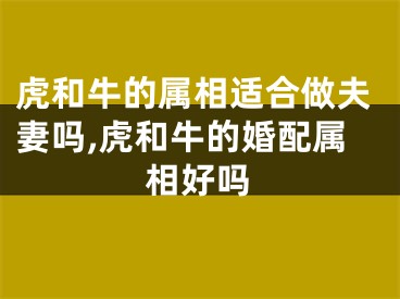 虎和牛的属相适合做夫妻吗,虎和牛的婚配属相好吗