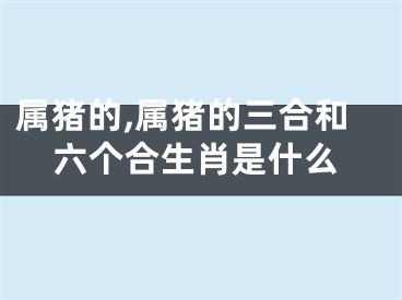 属猪的,属猪的三合和六个合生肖是什么