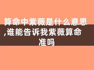 算命中紫薇是什么意思,谁能告诉我紫薇算命准吗